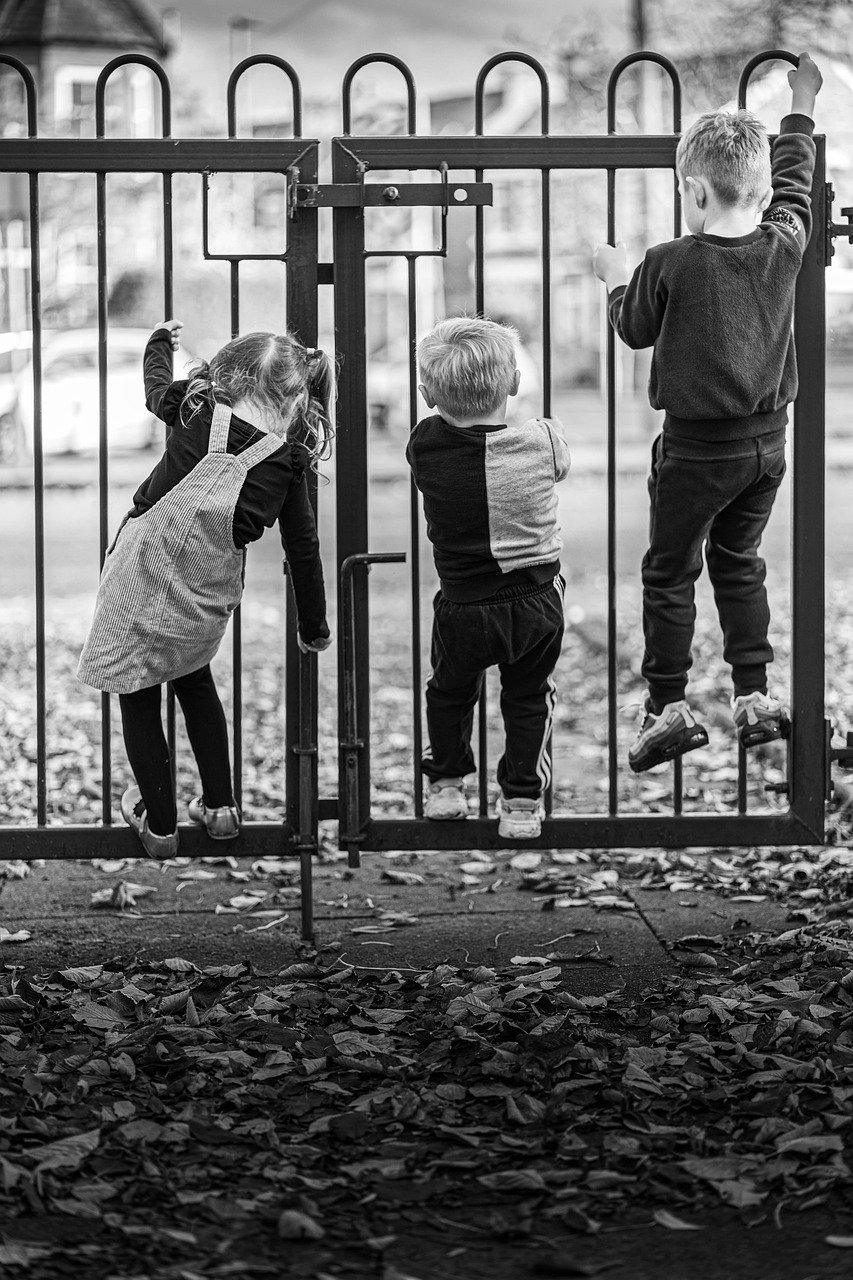 kids, children, play, girl, boys, happy, fun, people, playing, joy, childhood, happiness, young, outdoors, toddlers, friends